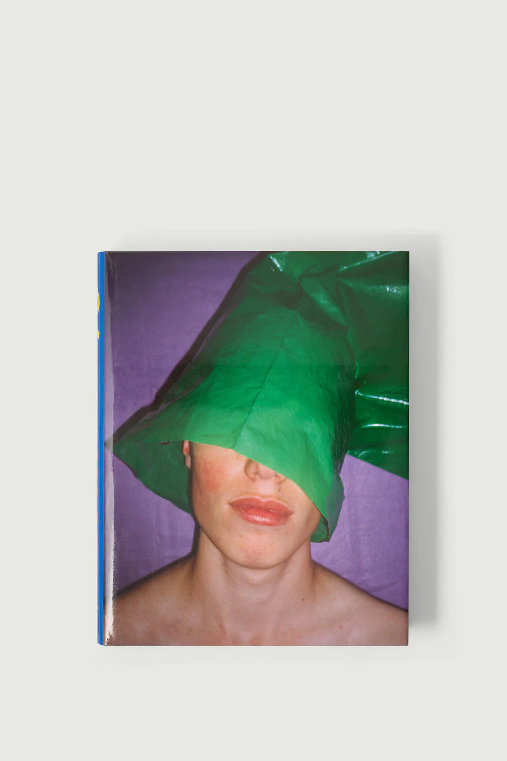 âCHEZ WALTIâ BOOK